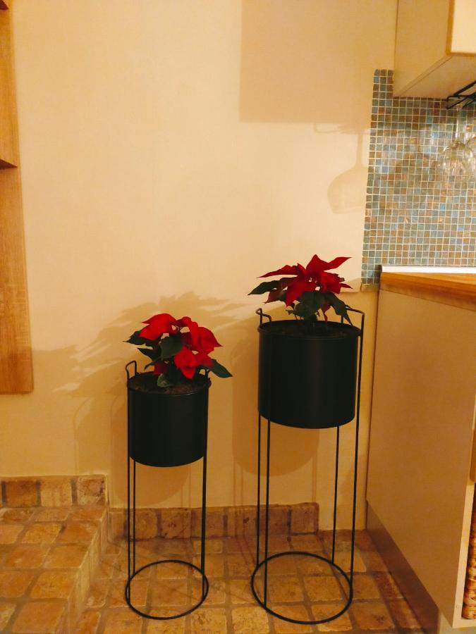 Manciobiba Home Trevi Dış mekan fotoğraf